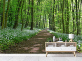 Fototapete Wir lieben den Sommer im Wald
