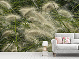 Fototapete Ziergrass im Wind