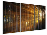 Leinwandbild 3-teilig Bäume in Sonnenstrahlen