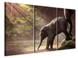 Leinwandbild 3-teilig Das Elefantenbaby