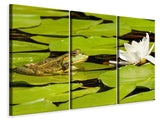 Leinwandbild 3-teilig Der Frosch und die Seerose