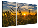 Leinwandbild 3-teilig Der Sonnenuntergang auf dem Feld