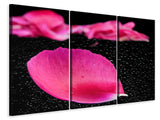 Leinwandbild 3-teilig Die Blütenblätter