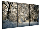 Leinwandbild 3-teilig Ein Winter Traum