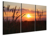 Leinwandbild 3-teilig Entzückender Sonnenuntergang
