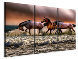 Leinwandbild 3-teilig Freiheit für Pferde