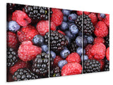 Leinwandbild 3-teilig Fruchtige Beeren