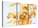 Leinwandbild 3-teilig Gelbe Orchidee