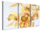 Leinwandbild 3-teilig Gelbe Orchidee