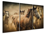Leinwandbild 3-teilig Gemälde Wildpferde