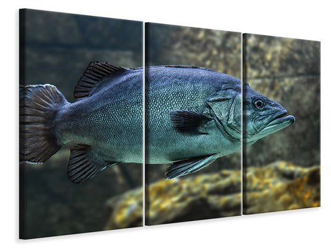 Leinwandbild 3-teilig Grosser Fisch