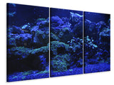 Leinwandbild 3-teilig Korallenriff in blau