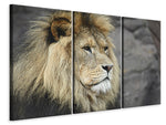 Leinwandbild 3-teilig Löwenkopf XL