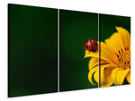 Leinwandbild 3-teilig Marienkäfer auf der Sonnenblume