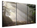 Leinwandbild 3-teilig Mystisches Licht im Wald
