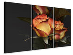 Leinwandbild 3-teilig Rosen der Romantik