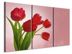 Leinwandbild 3-teilig Roter Tulpenstrauss
