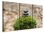 Leinwandbild 3-teilig Steinstapel auf Pflanze