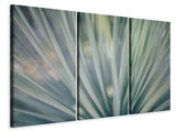 Leinwandbild 3-teilig Streifen von Pflanze