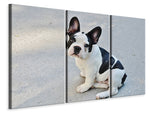 Leinwandbild 3-teilig Süsse Französische Bulldogge