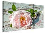 Leinwandbild 3-teilig Wildrose in rosa