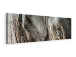 Leinwandbild Panorama Close Up Elefant