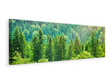 Leinwandbild Panorama Der Waldhügel