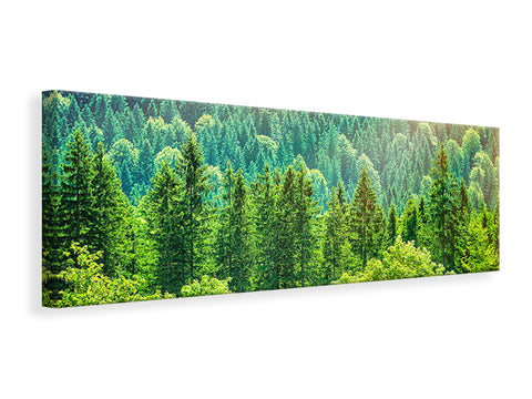 Leinwandbild Panorama Der Waldhügel
