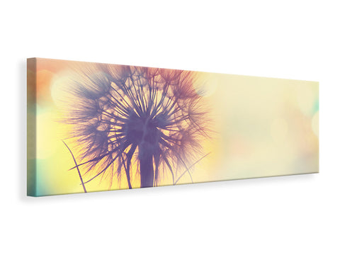 Leinwandbild Panorama Die Pusteblume im Licht