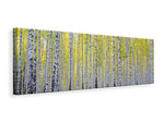 Leinwandbild Panorama Herbstlicher Birkenwald