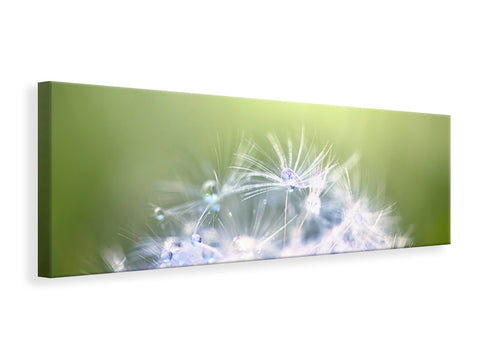 Leinwandbild Panorama Pusteblume XL im Morgentau