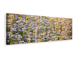 Leinwandbild Panorama Ein Feld voll Kamille